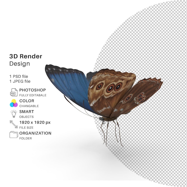 PSD borboleta modelagem 3d arquivo psd borboleta realista