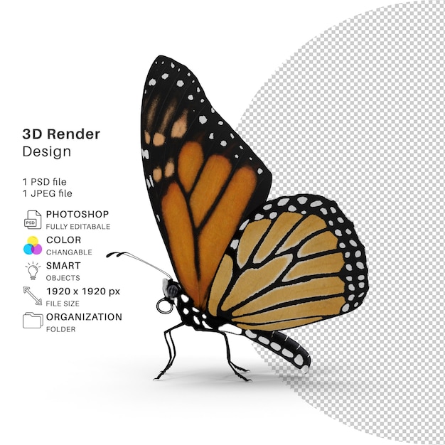 Borboleta Modelagem 3D Arquivo PSD Borboleta realista