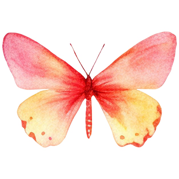 PSD borboleta pintada a aquarela elemento de design desenhado à mão isolado em fundo branco