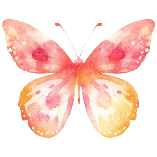 PSD borboleta pintada a aquarela elemento de design desenhado à mão isolado em fundo branco