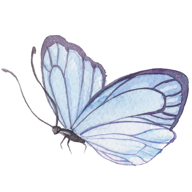 PSD borboleta pintada em aquarela elementos de design desenhados à mão isolados no fundo branco