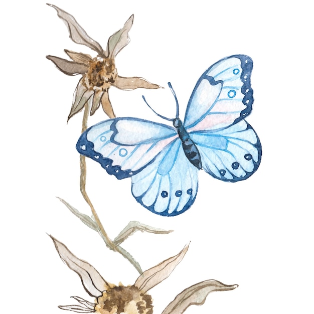 Borboleta pintada em aquarela Elementos de design desenhados à mão isolados no fundo branco