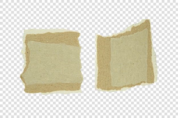 borda de papel rasgada