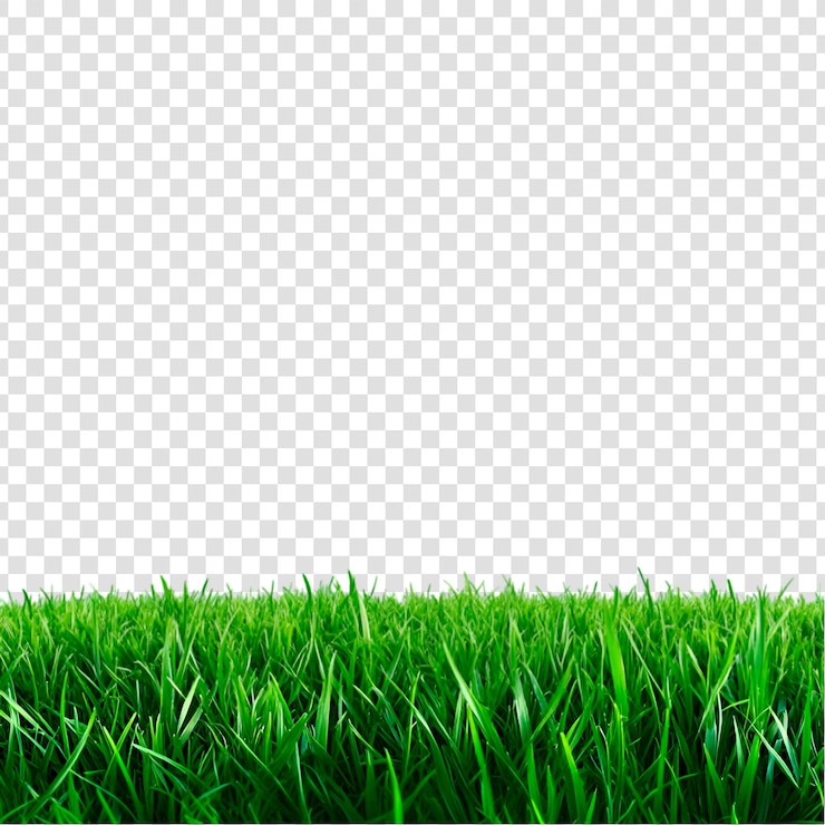 PSD el borde de la hierba verde aislado en un fondo transparente