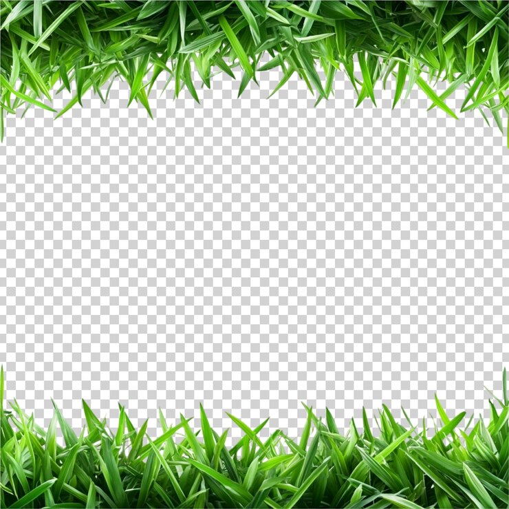 PSD el borde del marco de la hoja de hierba verde aislado en un fondo transparente