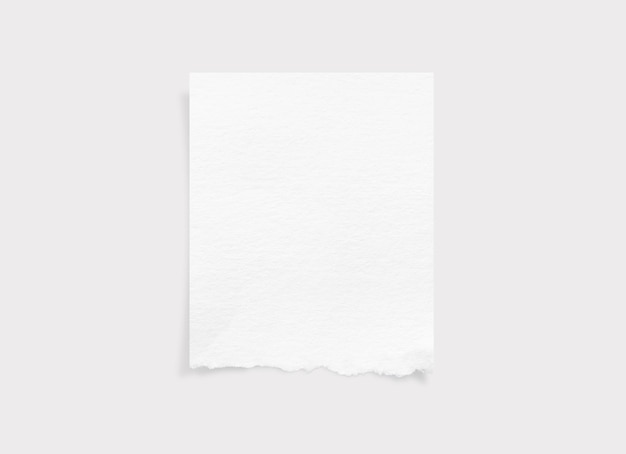 PSD bords de papier déchirés texture de papier déchiré étiquette de papier feuille de papier blanc pour le fond avec un tracé de détourage gros plan