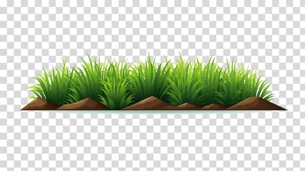 PSD la bordure d'herbe est un papier peint hd tendance 8k4k2k