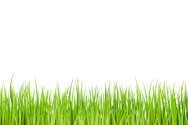 Bordure d'herbe isolée