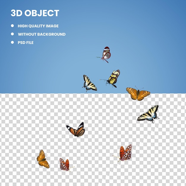 PSD bordure papillon 3d