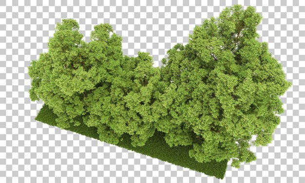 Bosque aislado en la ilustración de representación 3d de fondo transparente