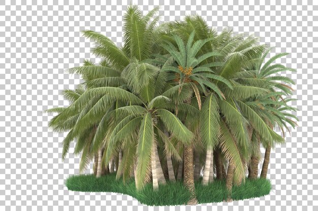 Bosque exótico sobre fondo transparente. Representación 3d - ilustración