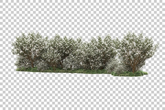 Bosque con flores aisladas sobre fondo transparente Ilustración de renderizado 3d