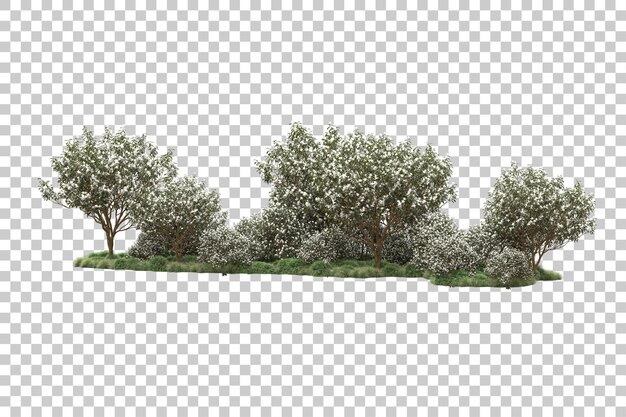 Bosque con flores aisladas sobre fondo transparente Ilustración de renderizado 3d