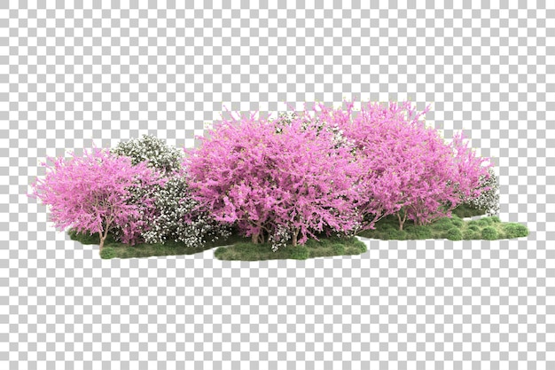 Bosque con flores aisladas sobre fondo transparente ilustración de renderizado 3d