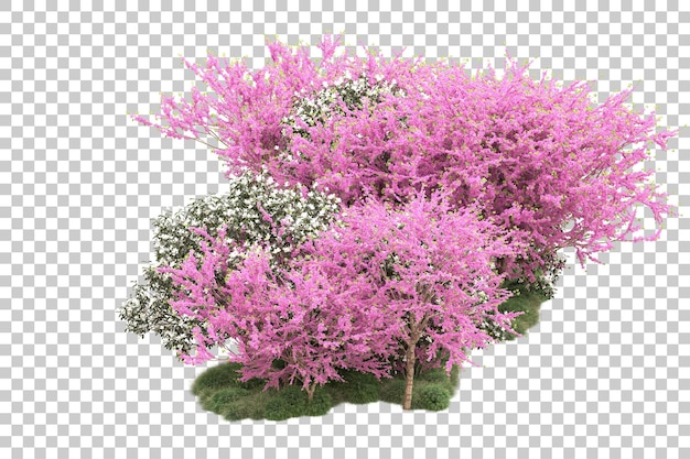 Bosque con flores aisladas sobre fondo transparente Ilustración de renderizado 3d