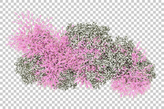 Bosque con flores aisladas sobre fondo transparente Ilustración de renderizado 3d