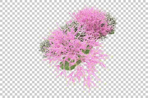 Bosque con flores aisladas sobre fondo transparente ilustración de renderizado 3d