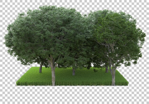 Bosque en la ilustración de renderizado 3d de fondo transparente