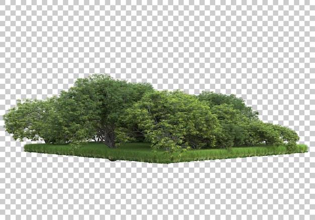 Bosque en la ilustración de renderizado 3d de fondo transparente