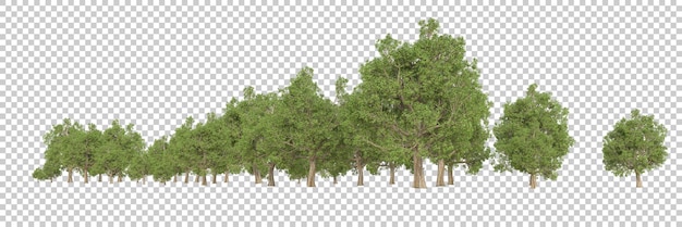 Bosque en la ilustración de renderizado 3d de fondo transparente