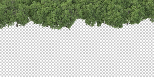 PSD bosque en la ilustración de renderizado 3d de fondo transparente