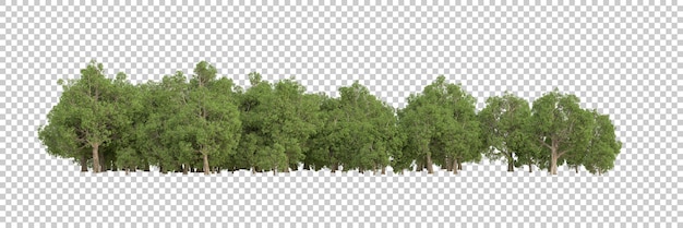 Bosque en la ilustración de renderizado 3d de fondo transparente