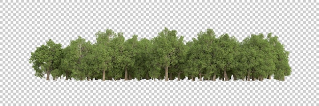 Bosque en la ilustración de renderizado 3d de fondo transparente