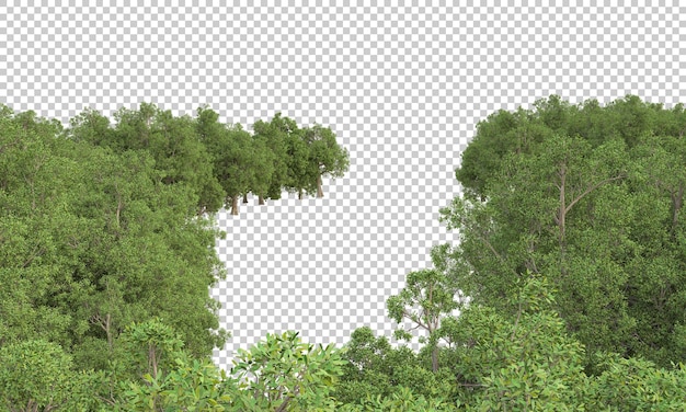 Bosque en la ilustración de renderizado 3d de fondo transparente