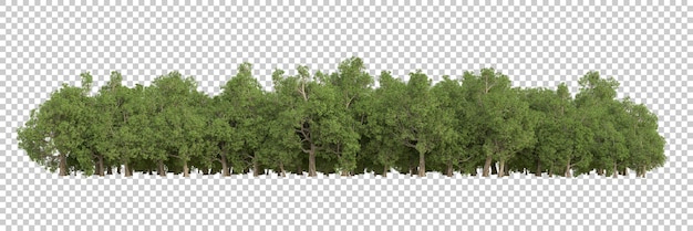 PSD bosque en la ilustración de renderizado 3d de fondo transparente