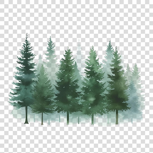 PSD bosque de pinos aislado sobre un fondo transparente png