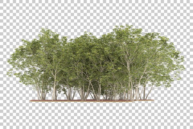 Bosque sobre fondo transparente. Representación 3d - ilustración