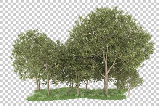 Bosque sobre fondo transparente. Representación 3d - ilustración