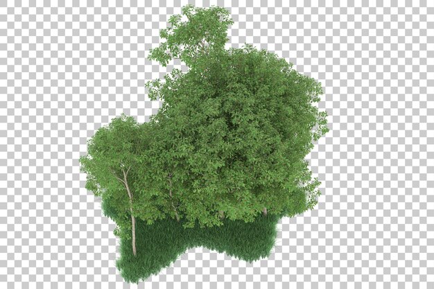 Bosque sobre fondo transparente. Representación 3d - ilustración