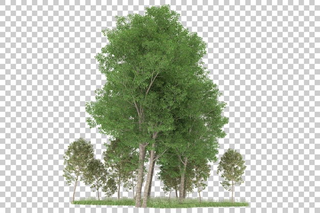 Bosque sobre fondo transparente. Representación 3d - ilustración