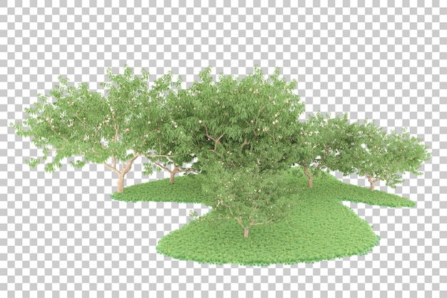 Bosque sobre fondo transparente. Representación 3d - ilustración