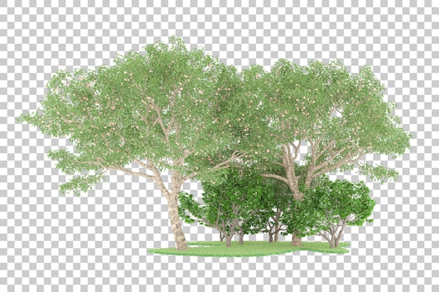 Bosque sobre fondo transparente. Representación 3d - ilustración