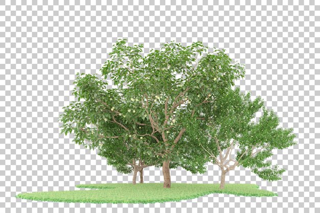 Bosque sobre fondo transparente. Representación 3d - ilustración