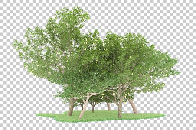 Bosque sobre fondo transparente. Representación 3d - ilustración