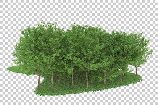 Bosque sobre fondo transparente. Representación 3d - ilustración