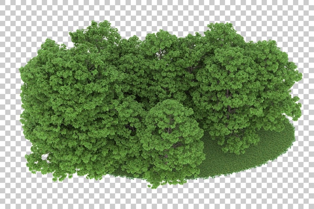 Bosque sobre fondo transparente. Representación 3d - ilustración