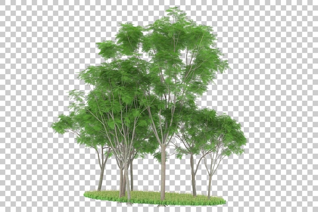 Bosque sobre fondo transparente. Representación 3d - ilustración