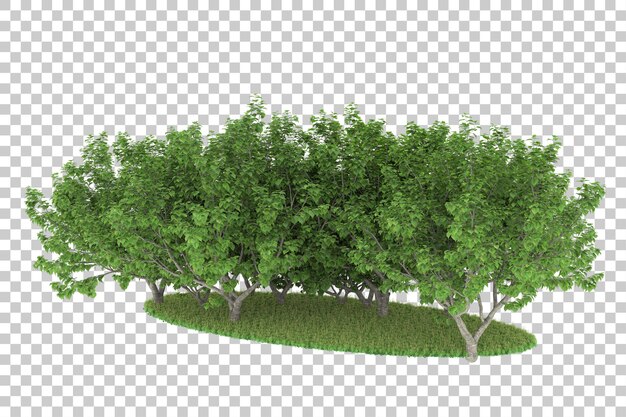 Bosque sobre fondo transparente. Representación 3d - ilustración