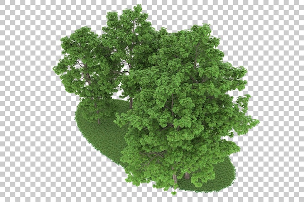 Bosque sobre fondo transparente. Representación 3d - ilustración