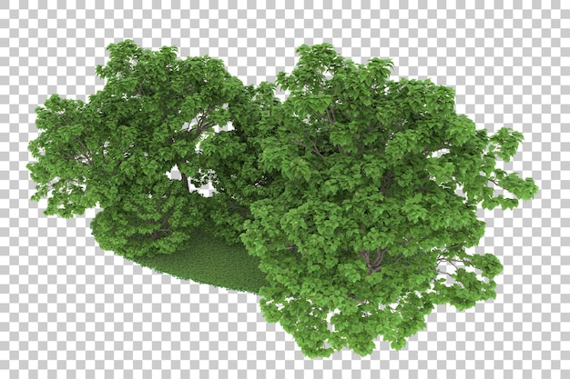 Bosque sobre fondo transparente. Representación 3d - ilustración