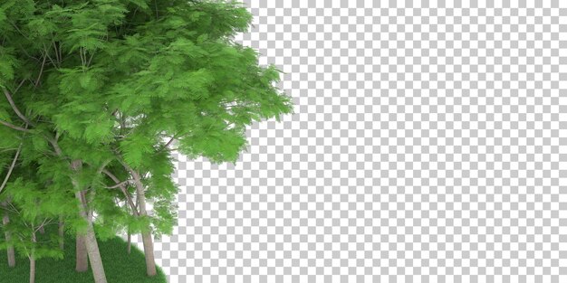 Bosque sobre fondo transparente. Representación 3d - ilustración