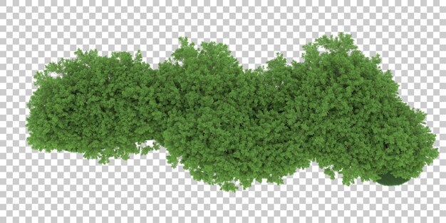 Bosque sobre fondo transparente. Representación 3d - ilustración