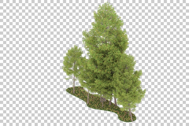 Bosque sobre fondo transparente. Representación 3d - ilustración