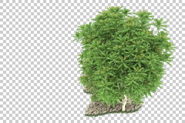 Bosque sobre fondo transparente. Representación 3d - ilustración