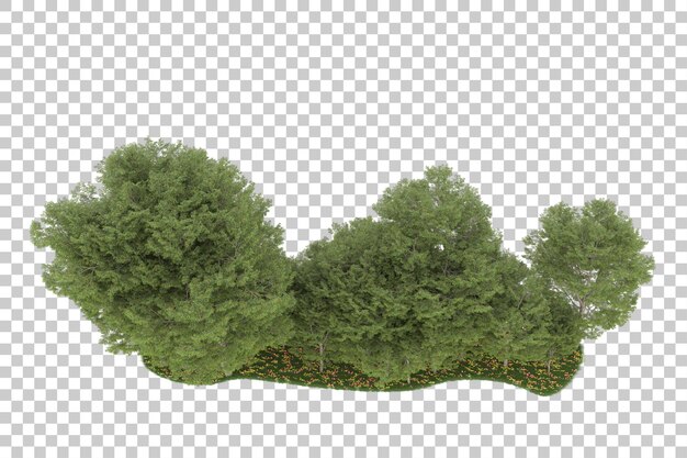 Bosque sobre fondo transparente. Representación 3d - ilustración