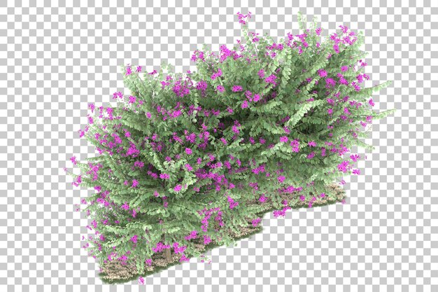 Bosque sobre fondo transparente. Representación 3d - ilustración